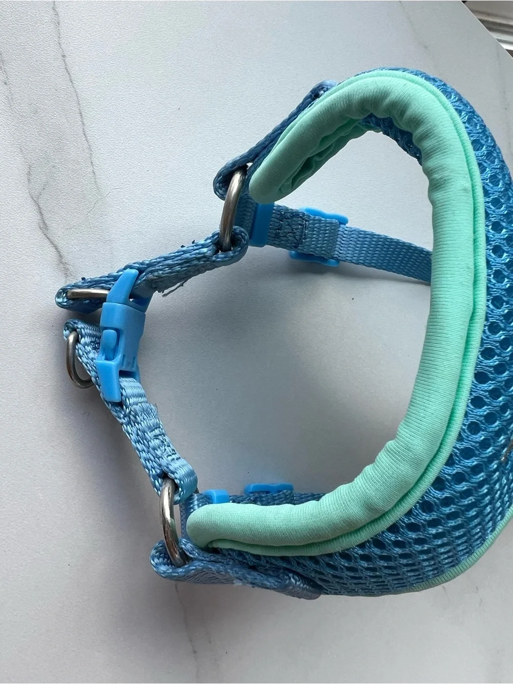 X-Small Dog Blue & Mint Mesh Harness with Crown Embroidery